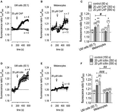 TRPM8 Activation via 3-Iodothyronamine Blunts VEGF-Induced Transactivation of TRPV1 in Human Uveal Melanoma Cells